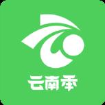 云南季app