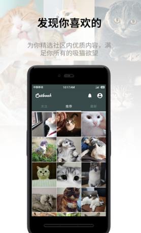 Catbook猫书APP
