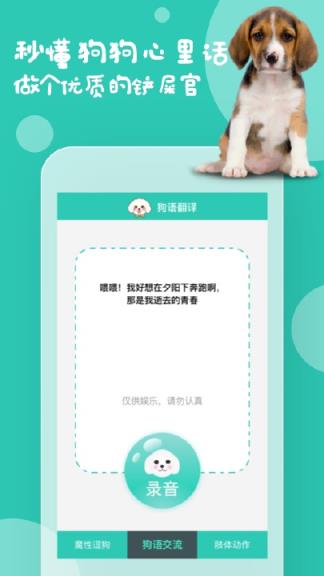 狗语翻译机app
