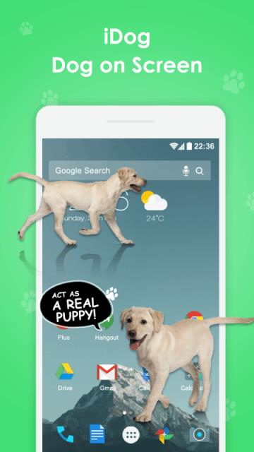 idog手机宠物