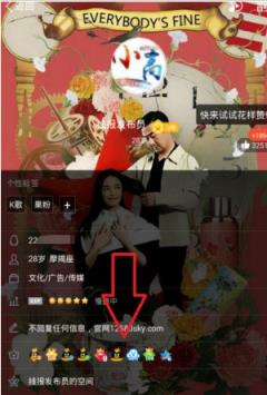 梦想巅峰云QQ钻一键点亮软件