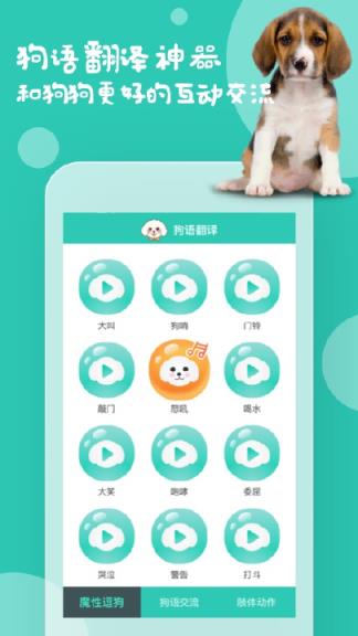 狗语翻译机app