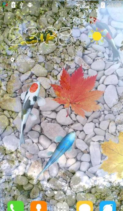 锦鲤池塘动态壁纸