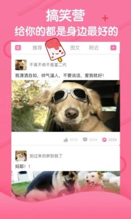 段友神评社