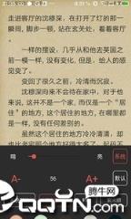 鸿雁小说阅读器