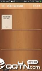 鸿雁小说阅读器