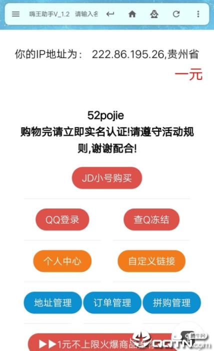 嗨王JD助手