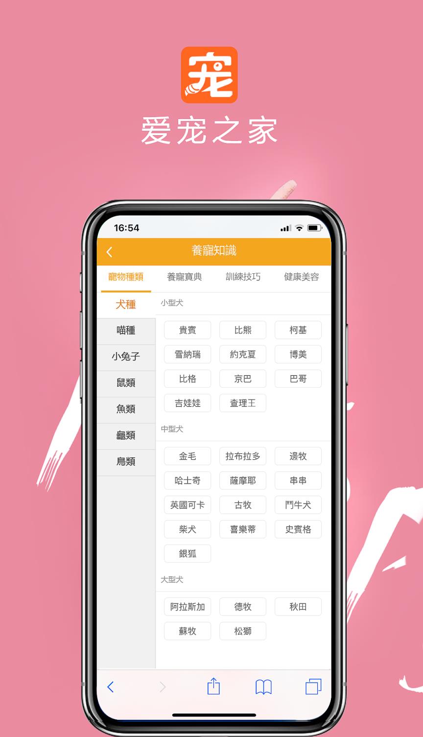 爱宠之家
