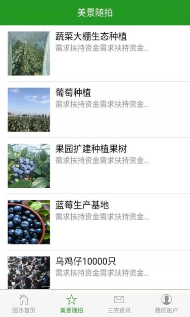 固沙绿洲
