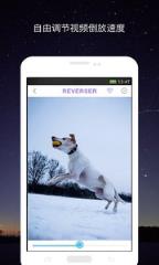 视频倒放助手专业版