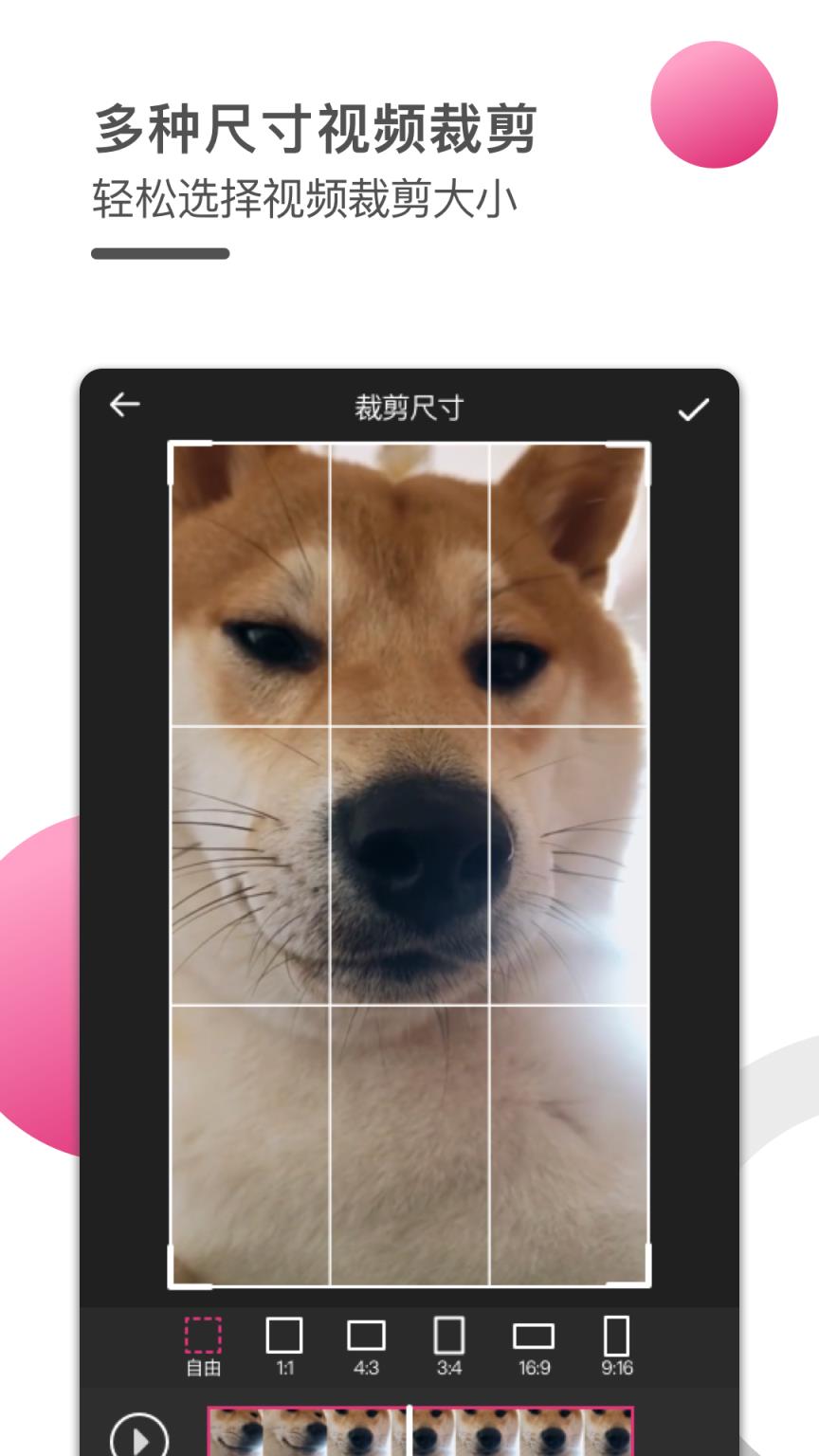 瓢虫视频编辑器app