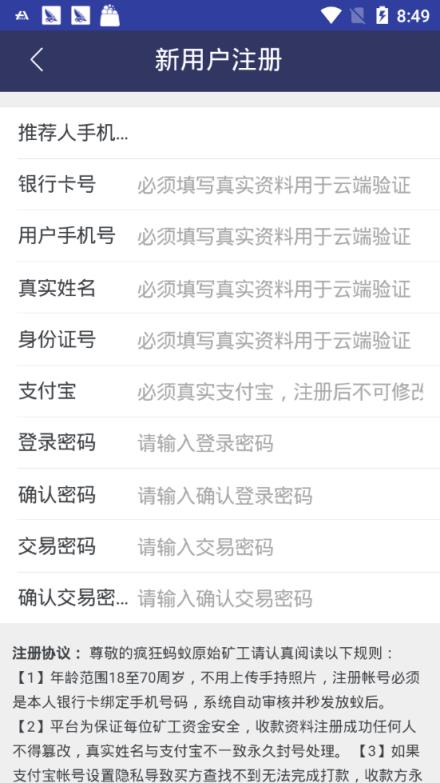 YCB疯狂蚂蚁