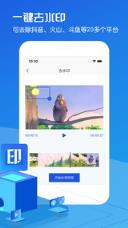 视频去水印大师app