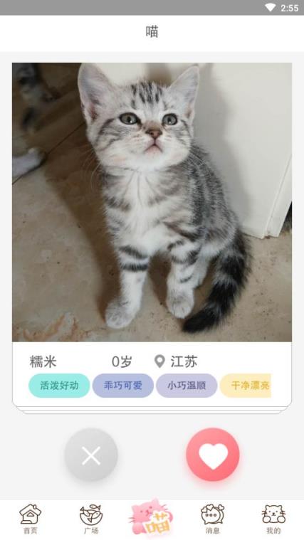 猫咪汇