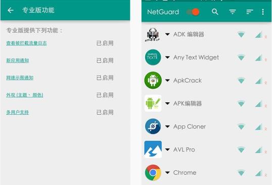 网络护卫中文版