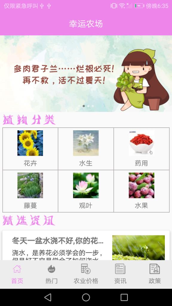 幸运农场农场养殖