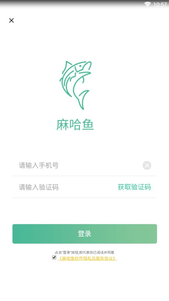 麻哈鱼
