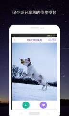 视频倒放助手专业版