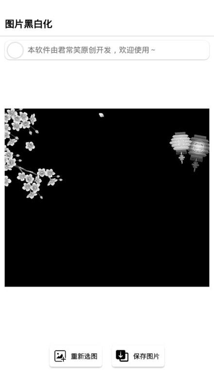 图片黑白化app