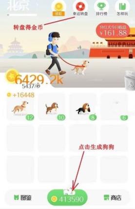 旅行世界欧洲犬