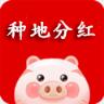 种地分红app