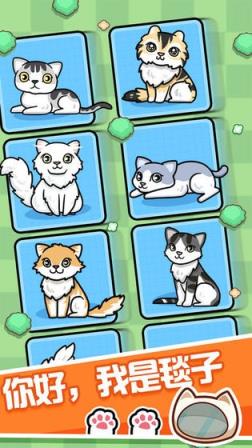 爱情公寓5云养猫