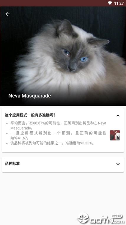 猫咪鉴定器