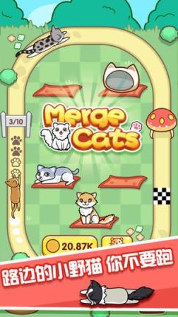 爱情公寓5云养猫