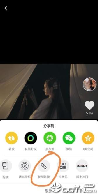 皮克斯视频解析