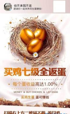 橙光农场