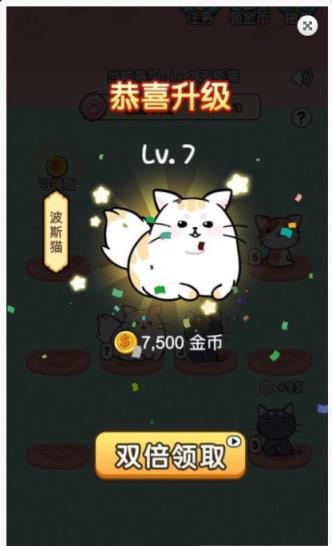 分红猫app