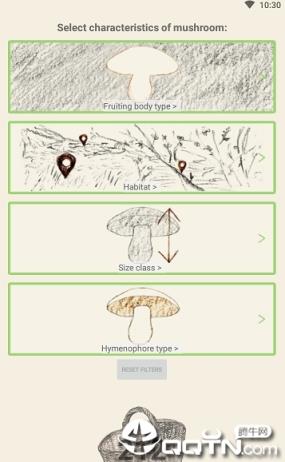 Mushrooms app
