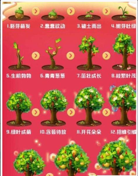 福年种福果app