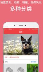 手心影院无限观看版