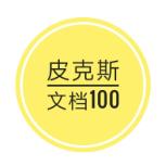 PIX文档100