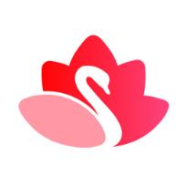 赛芙蓉