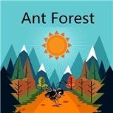 蚂蚁森林AntForest