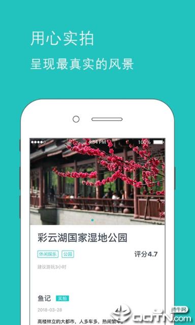 鱼游app