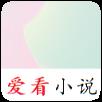 爱看小说