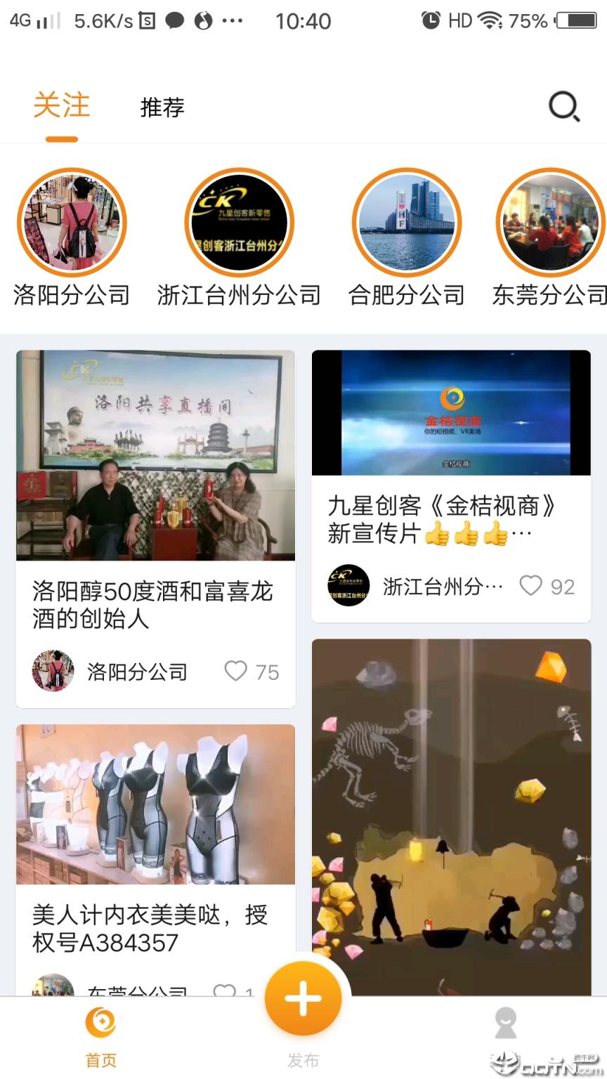 金桔视商