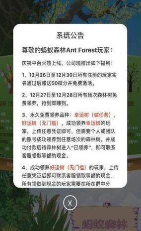 蚂蚁森林AntForest