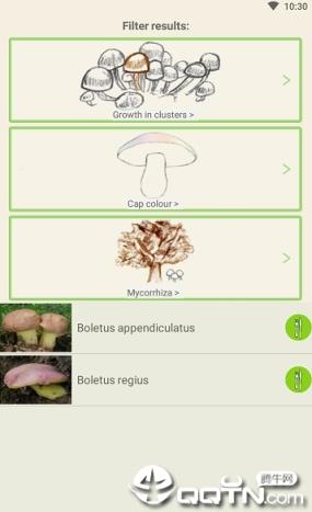 Mushrooms app
