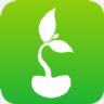 豆牙转app