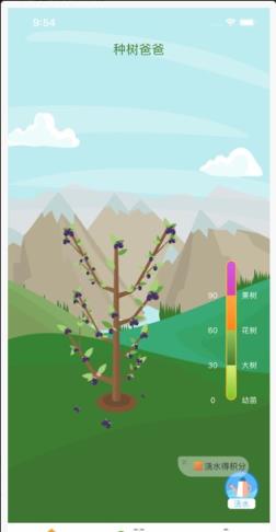 种树爸爸app