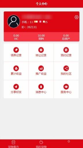 荷兰区块猪新年版