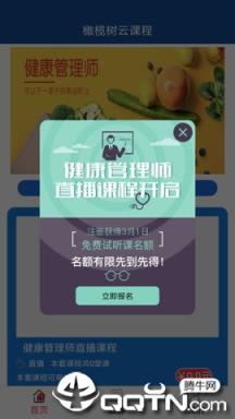 橄榄树云课堂