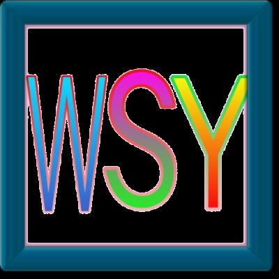 WSY影院