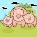 猪猪合成app