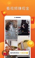 掌上宝短视频app
