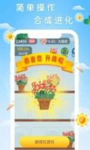 阳光森林红包版